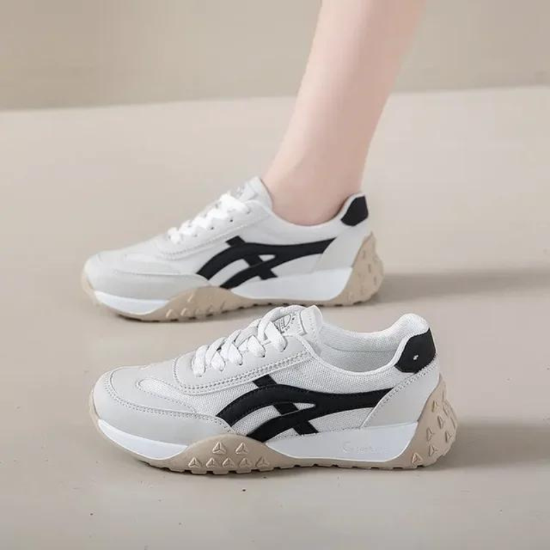 فوجاكونفورت | فوجاني